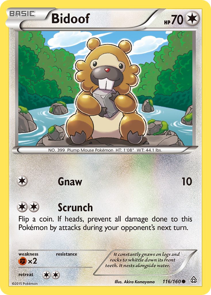 Bidoof (116/160) [XY: Primal Clash] | Exor Games Bridgewater
